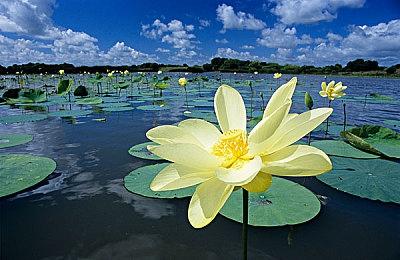 《第一狂战士：卡赞》Steam特别好评 PC配置公开