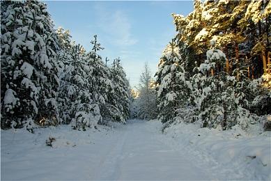 育碧+服务暂时没有计划登陆其他平台 包括PS4＆PS5