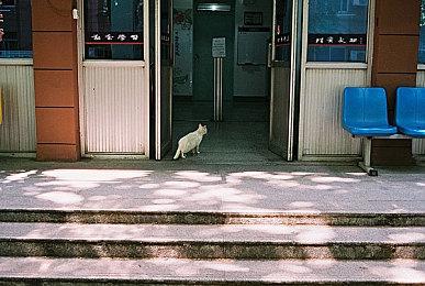 《战锤40K：星际战士2》展示堡垒和重装职业