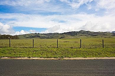 米哈游创始人的AI游戏内测开启 AI女友在外星求生